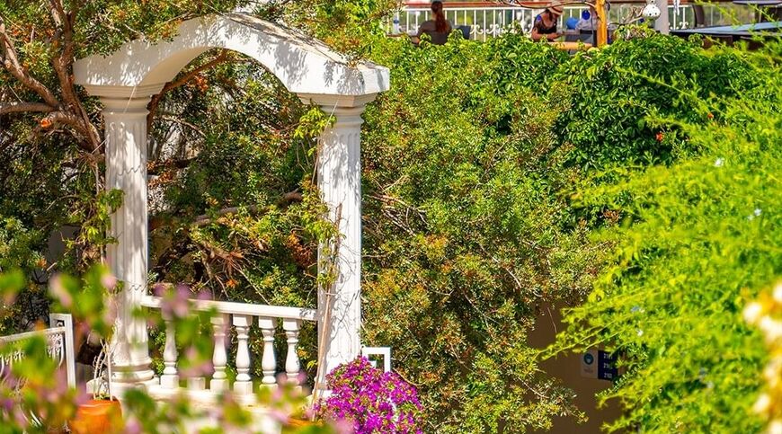 Riva Resort Bodrum +16 | 4 Gece Otel Konaklamalı | Her Şey Dahil Konsept 