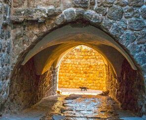 Ramazan Bayramı Özel Uçaklı Gap Turu THY İle 3 Gece Otel Konaklamalı / 29 Mart Özel (Gidiş-Dönüş Gaziantep)